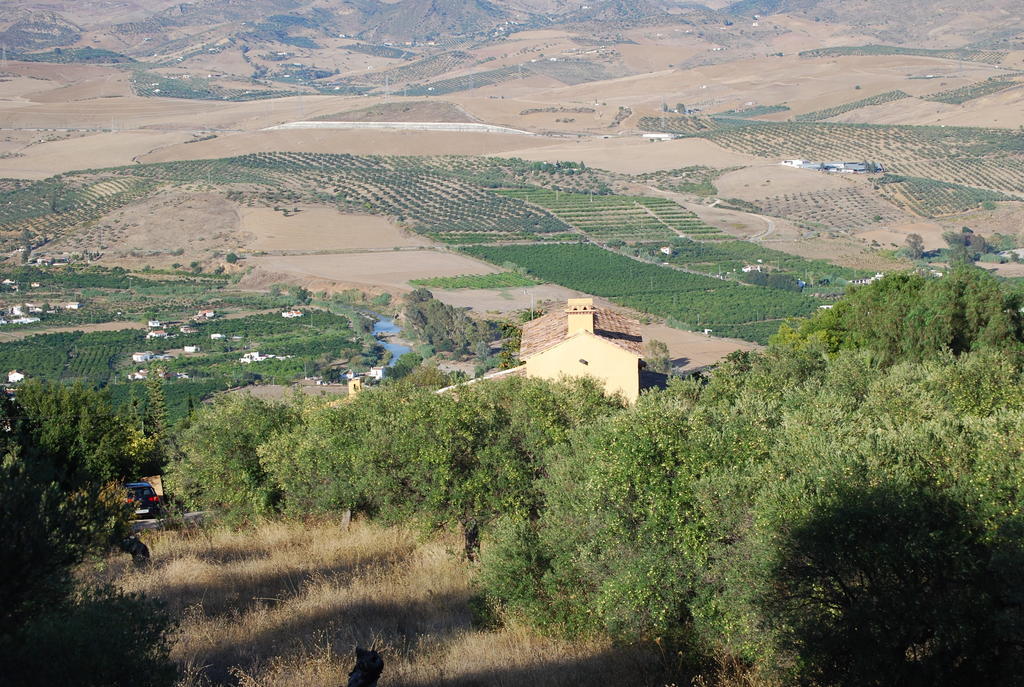 Hidden Valley Andalucia Alora Exteriör bild
